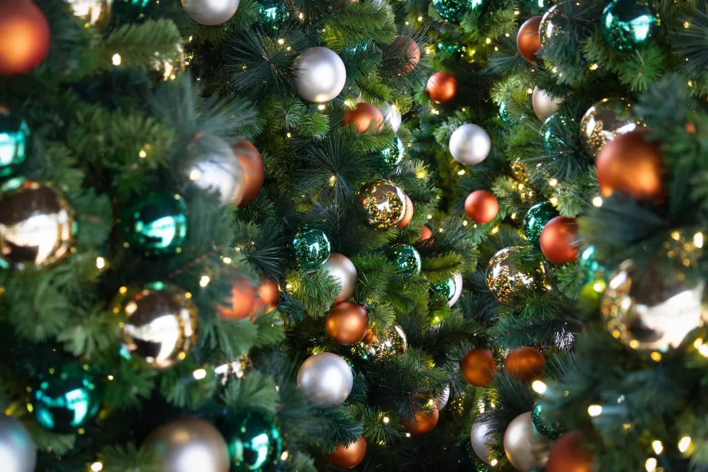 Commercial Christmas Trees & Giant Holiday Trees | DDI