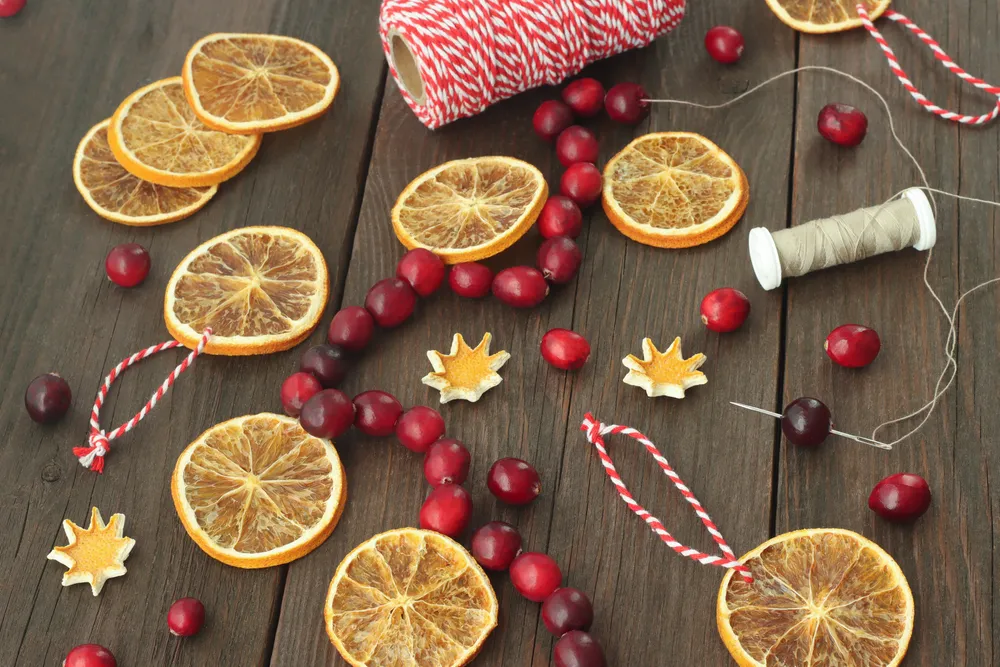 Deck the Halls (and Walls) With Fresh Cranberries for a Stunning Result | The Epoch Times