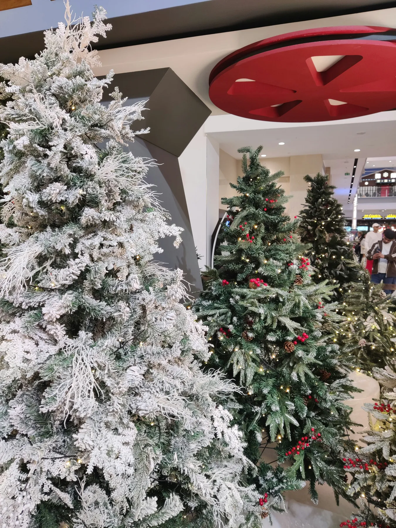 Decorated christmas trees with snow and lights displayed indoors