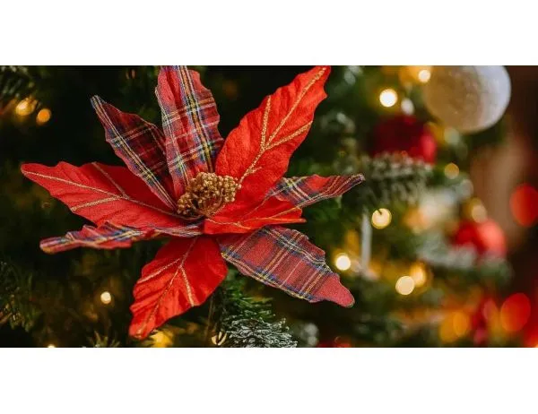 Decorative Christmas Branches and Flowers | Lilosquare