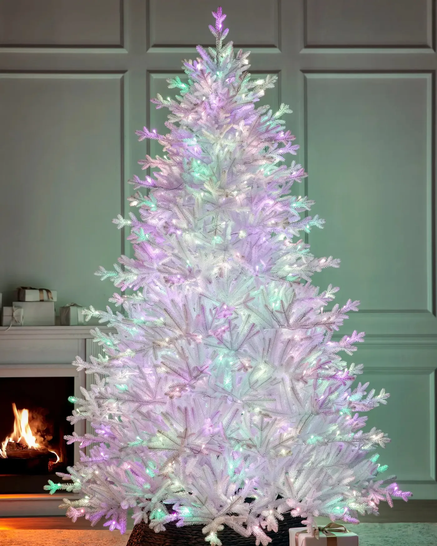 Denali White® Christmas Tree - Grow Xmas Trees