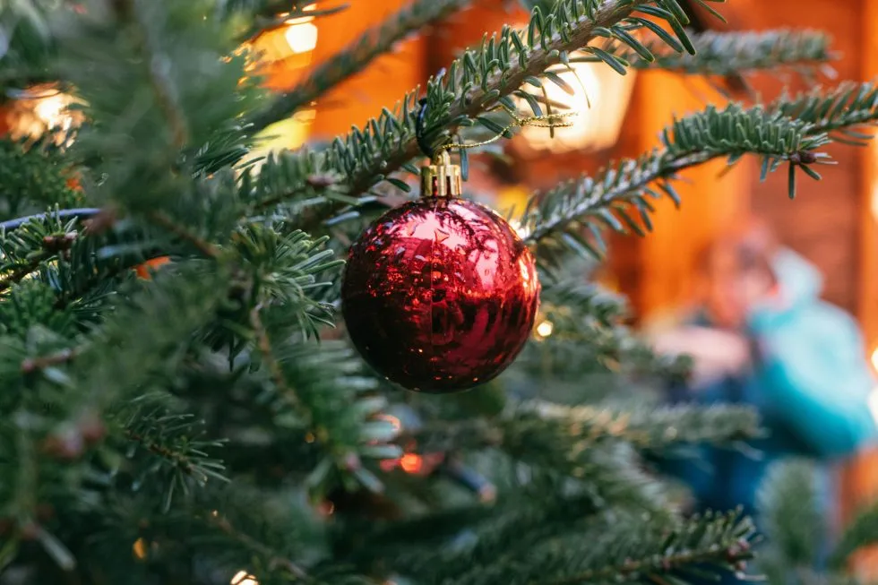 Discovering Christmas traditions in Barcelona - Casagrand
