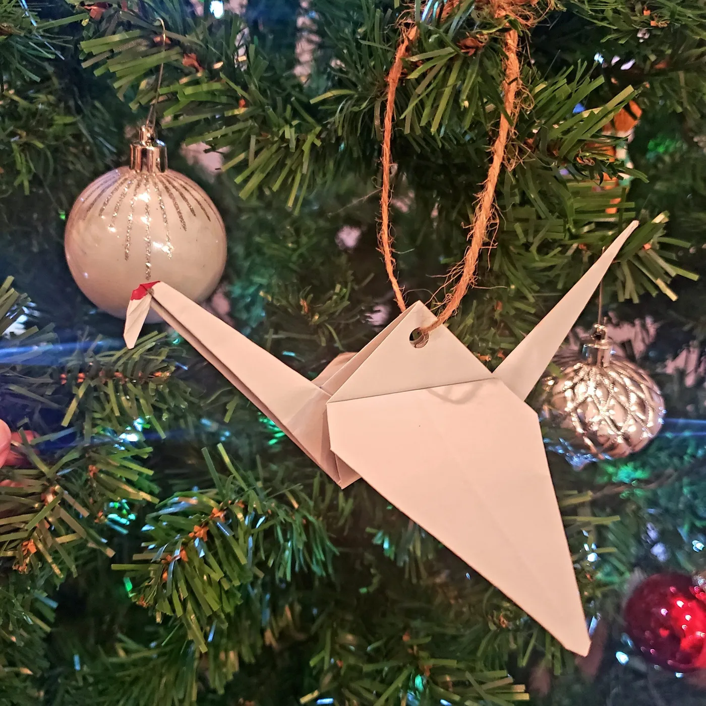 DIY Bird Ornament Crafts for the Holidays! | Friends of Creamer's Field