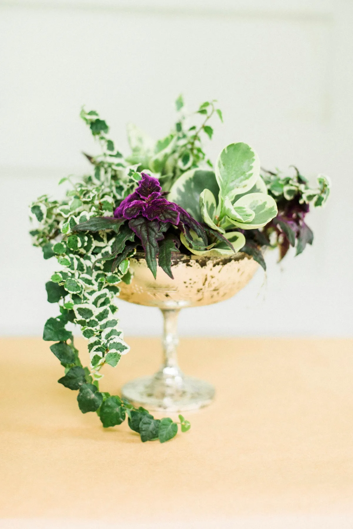 DIY Living Plant Centerpieces