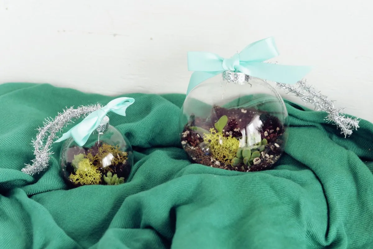 DIY Terrarium With Succulents - Dollar Tree Christmas Decorations