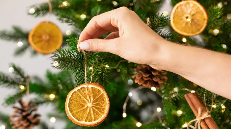 Dried Citrus Can Garnish More Than Just Cocktails