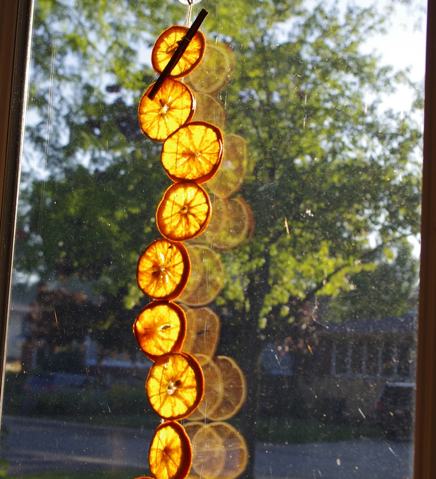 Dried Orange Slice Garland – Green Aura Boutique