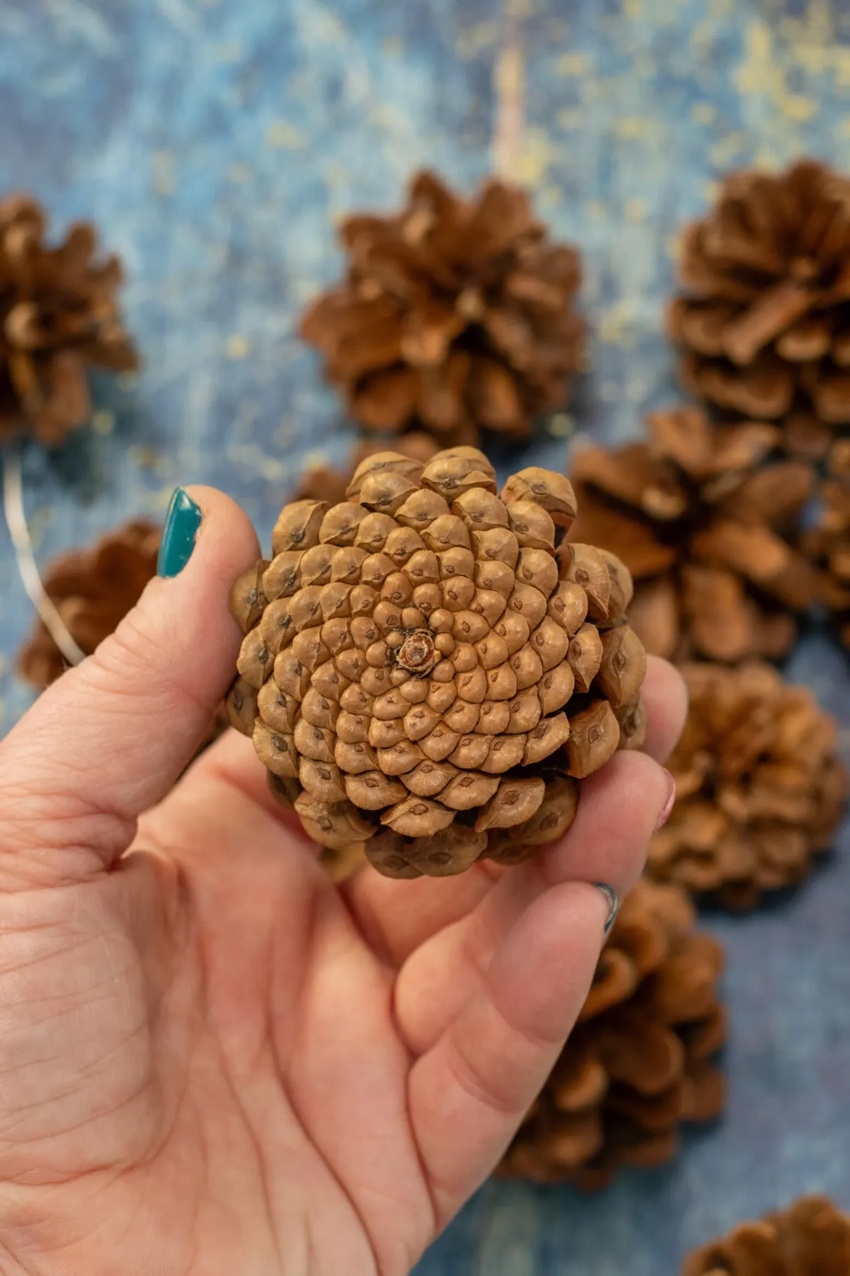 Easy and Charming Pinecone Flower Christmas Ornaments