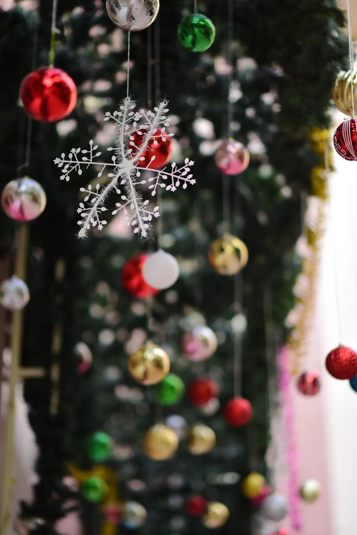 Elegant Christmas Decorations with Ornaments · Free Stock Photo