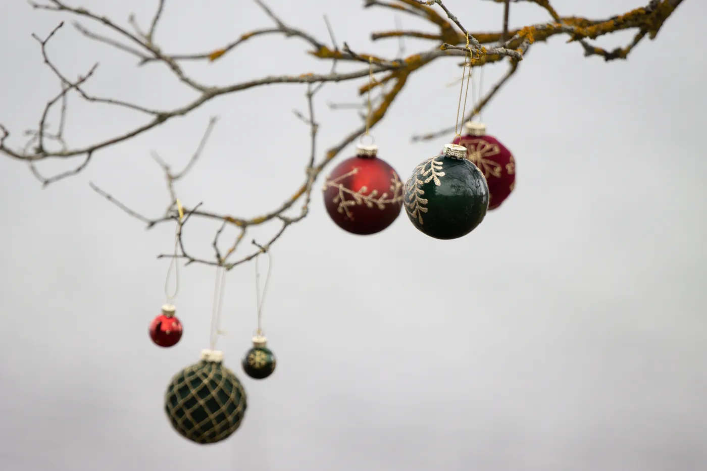 Elegant Christmas ornaments hang from a tree branch, capturing a festive winter scene.