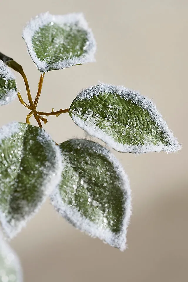 Faux Frosted Leaf Spray | Terrain