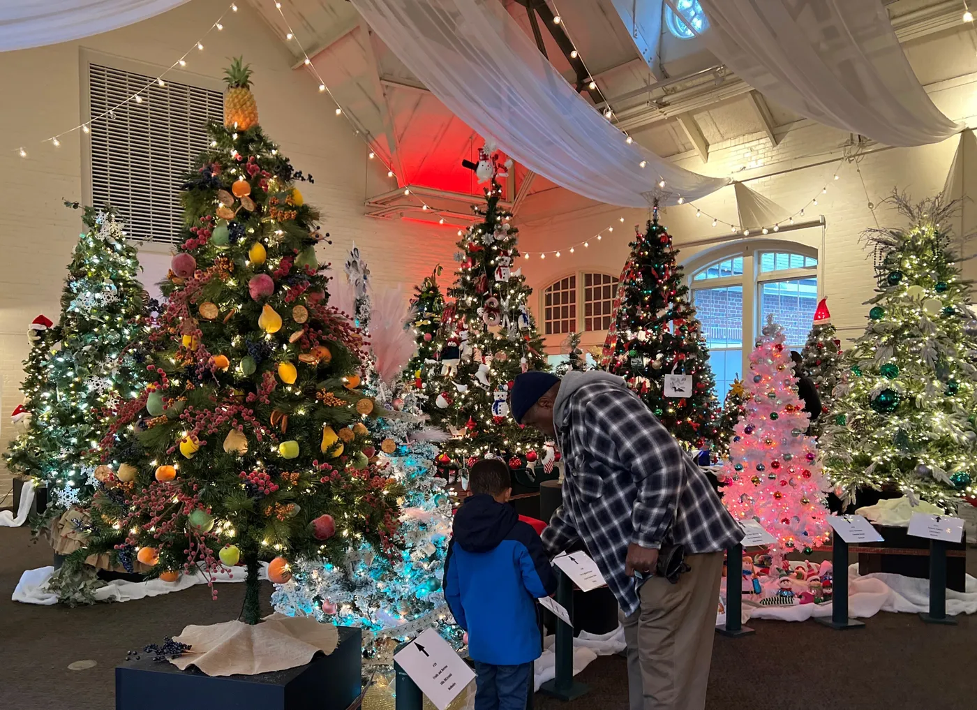 Festival of Trees | Massachusetts Horticultural Society