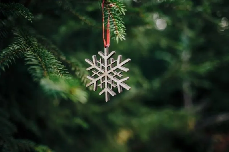 Flocked Artificial Christmas Tree vs. Regular Tree