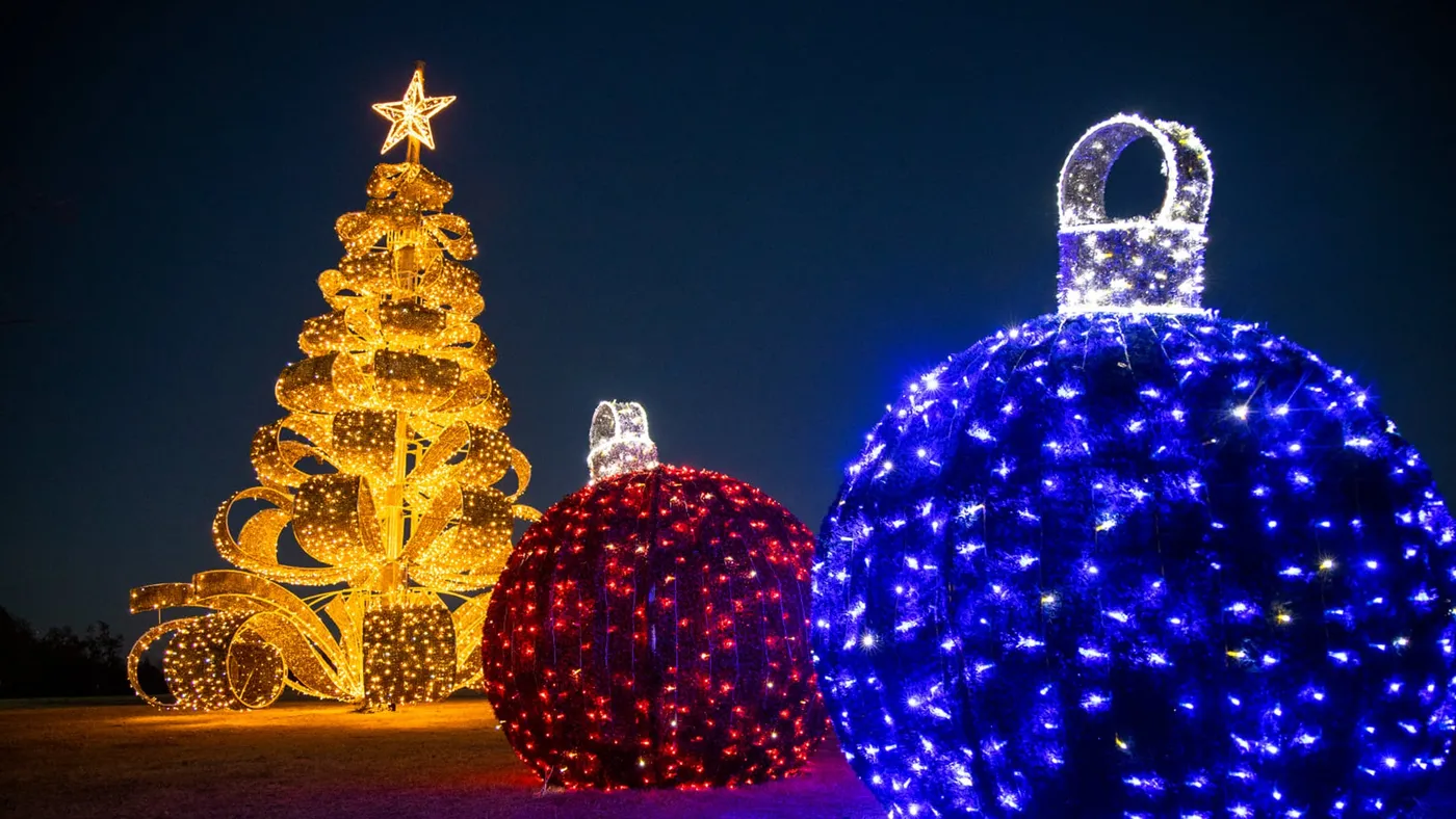 Free design consultation for your holiday lighting project! – Artistic Holiday Designs
