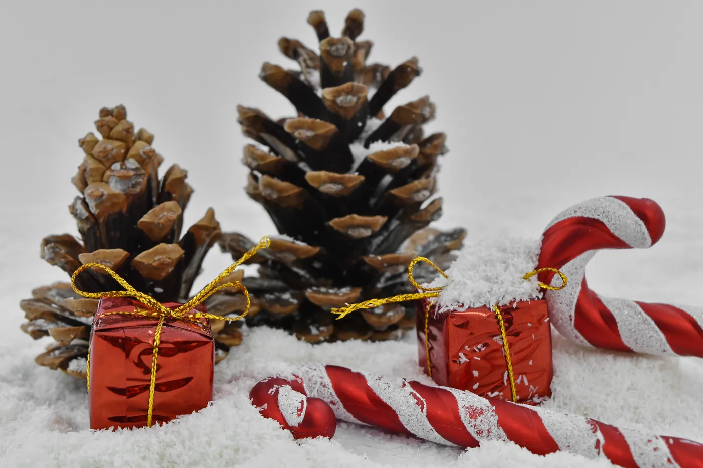 Free picture: close-up, decoration, gifts, snowflakes, christmas, cone,  tree, winter, snow, celebration