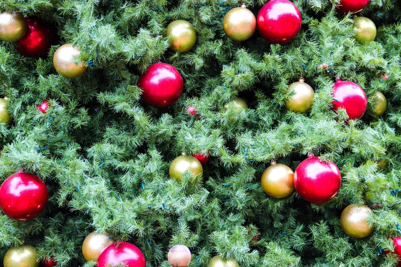 Free Stock Photo of Red & Gold Ball Ornaments on Christmas Tree