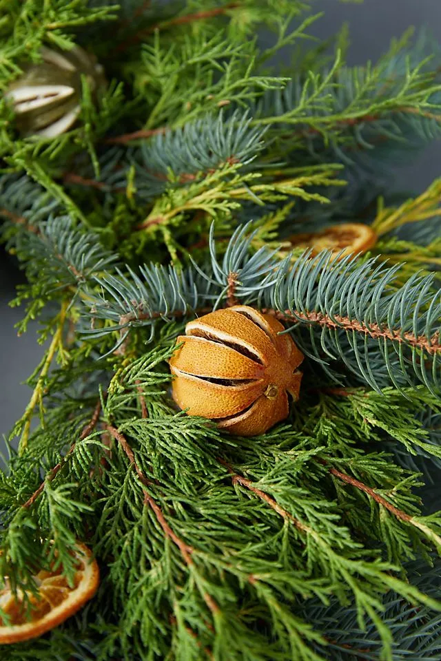 Fresh Evergreen + Dried Citrus Wreath | Terrain