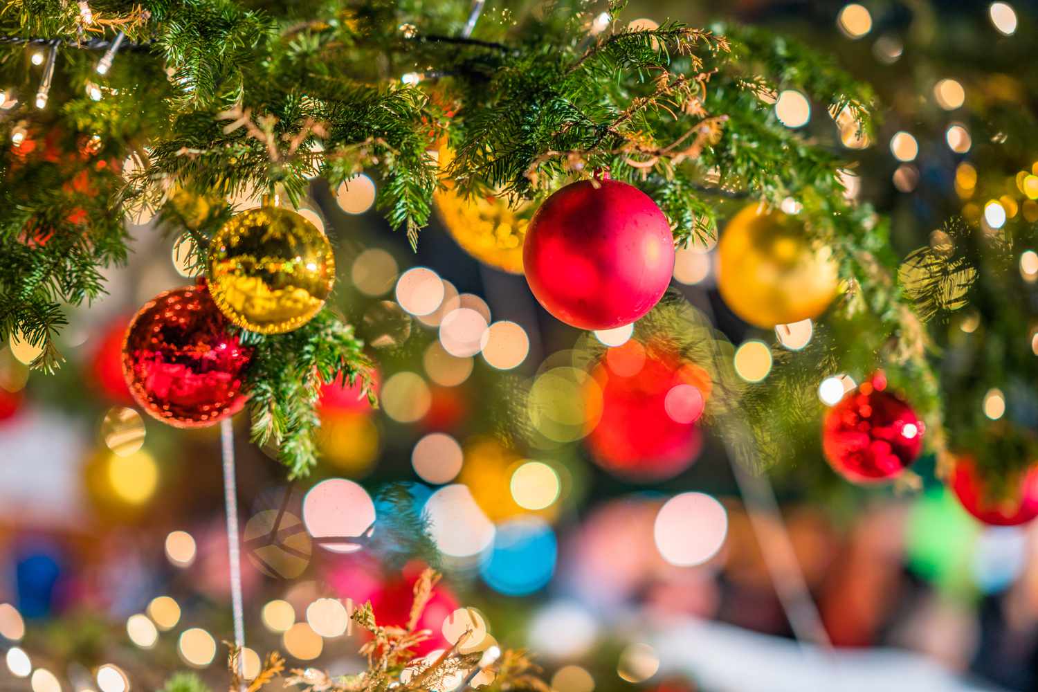 Geography of Christmas