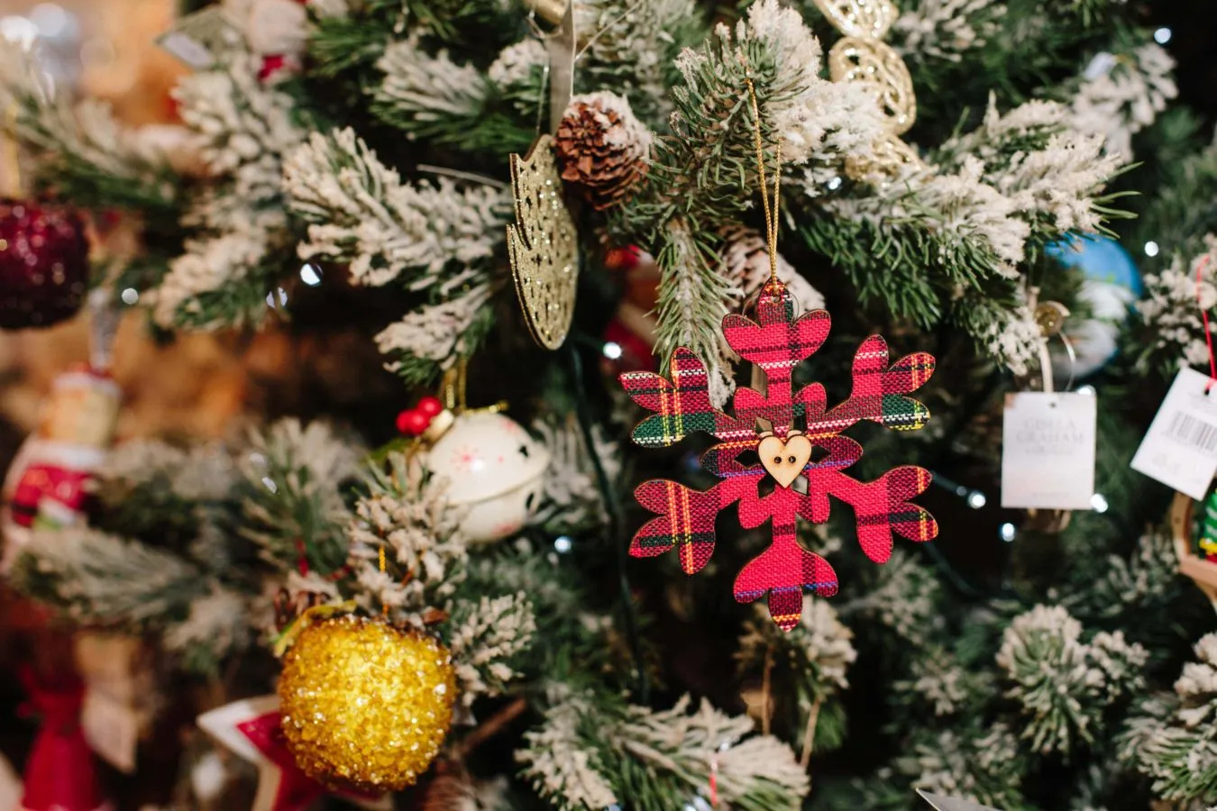 Ghillie Basan's Top Picks for Christmas Shopping at Rothiemurchus — Rothiemurchus
