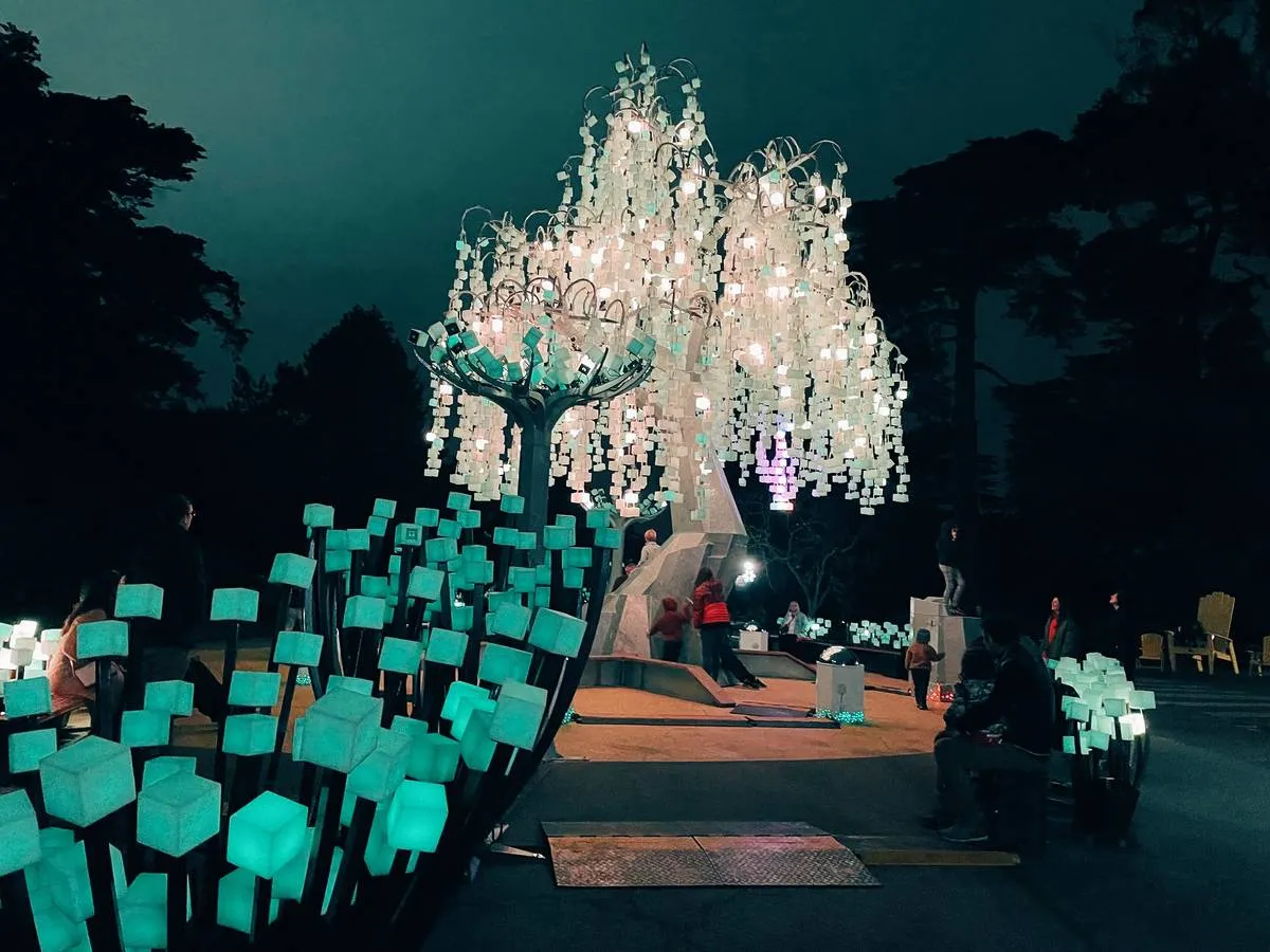 Golden Gate Park's Beloved Light Installation Isn't Returning This Holiday Season