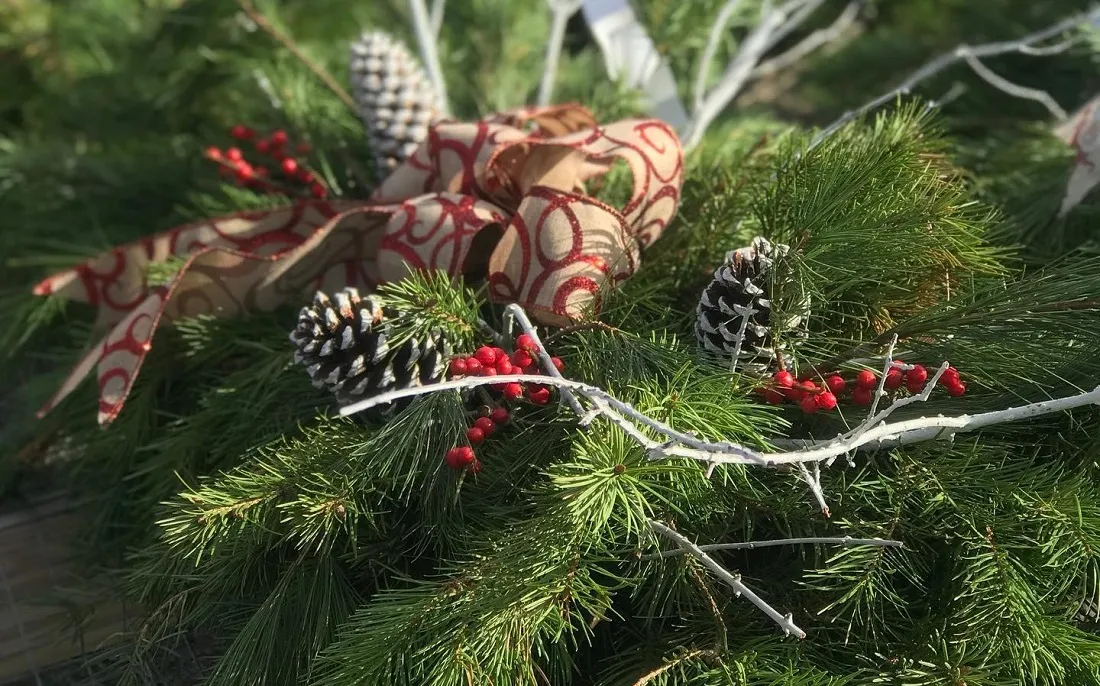 Holiday Decoration Ideas Category - Farmside Landscape & Design Sussex  County NJ