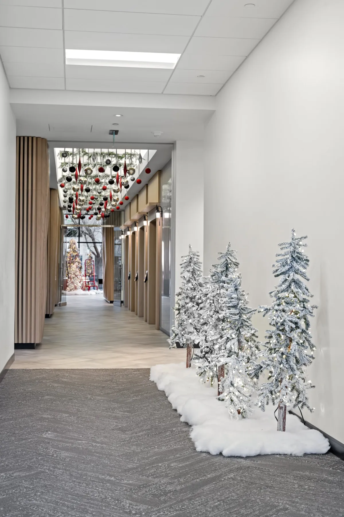 Holiday Designs — Interior & Exterior Plant Services | Bristol Botanics |  Denver, CO
