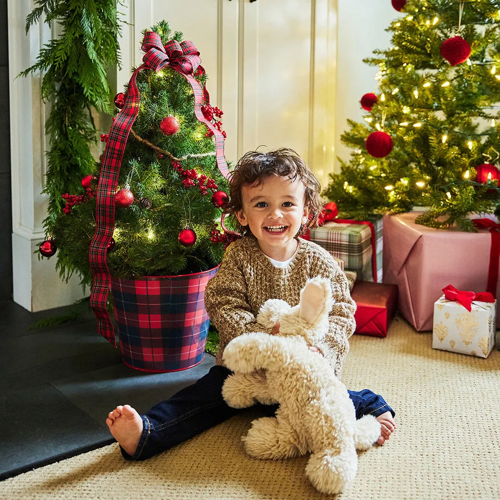 Holiday Magic: Mini Christmas Trees from Lynch Creek Farm
