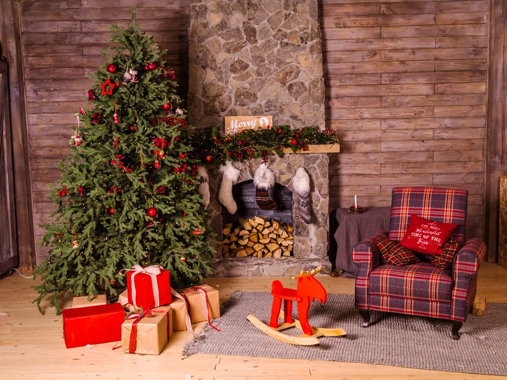 Home inspiration – Page 3 – Christmas Knowledge
