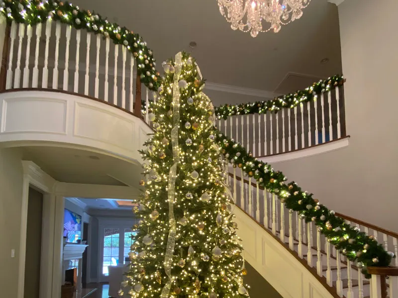 Houston Multi-Family Building Christmas Lighting