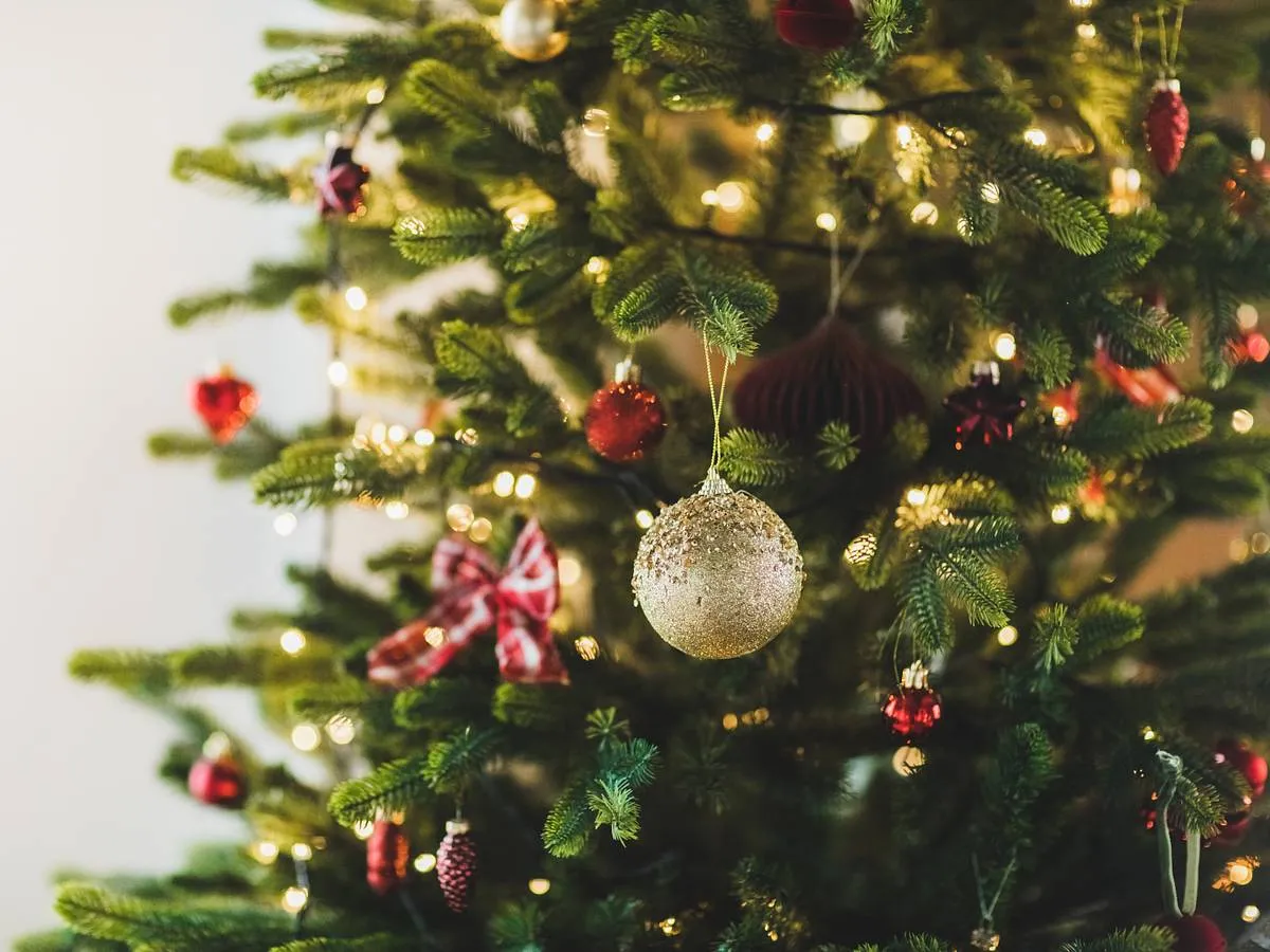 How Did Evergreen Trees Become a Christmas Symbol?