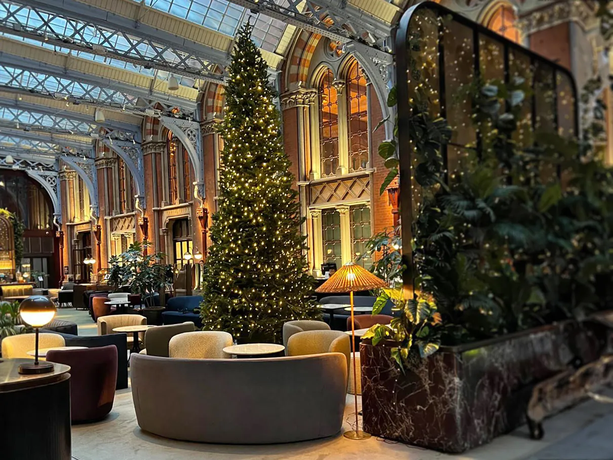 How to design the perfect Christmas display for your workplace - The  Nurture Group