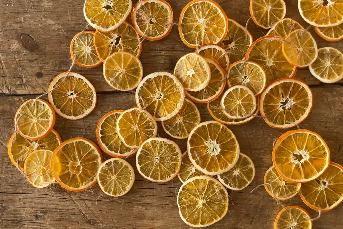 How to Dry Orange Slices (Oven or Dehydrator) - Woodlark Blog