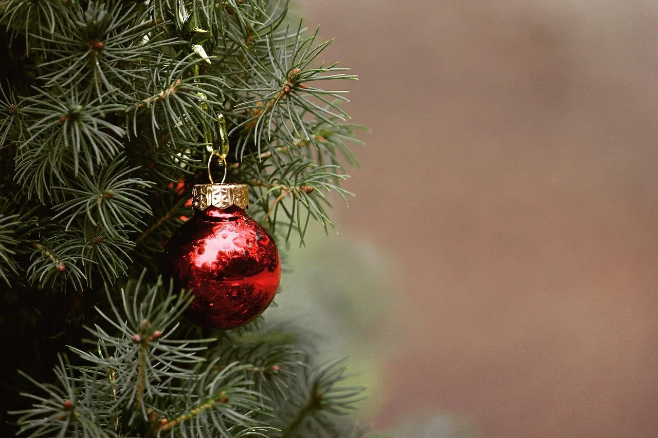How to have an eco-friendly holiday season - Farm and Dairy