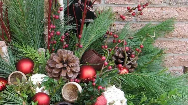Ideas for Outdoor Christmas Pots | HGTV