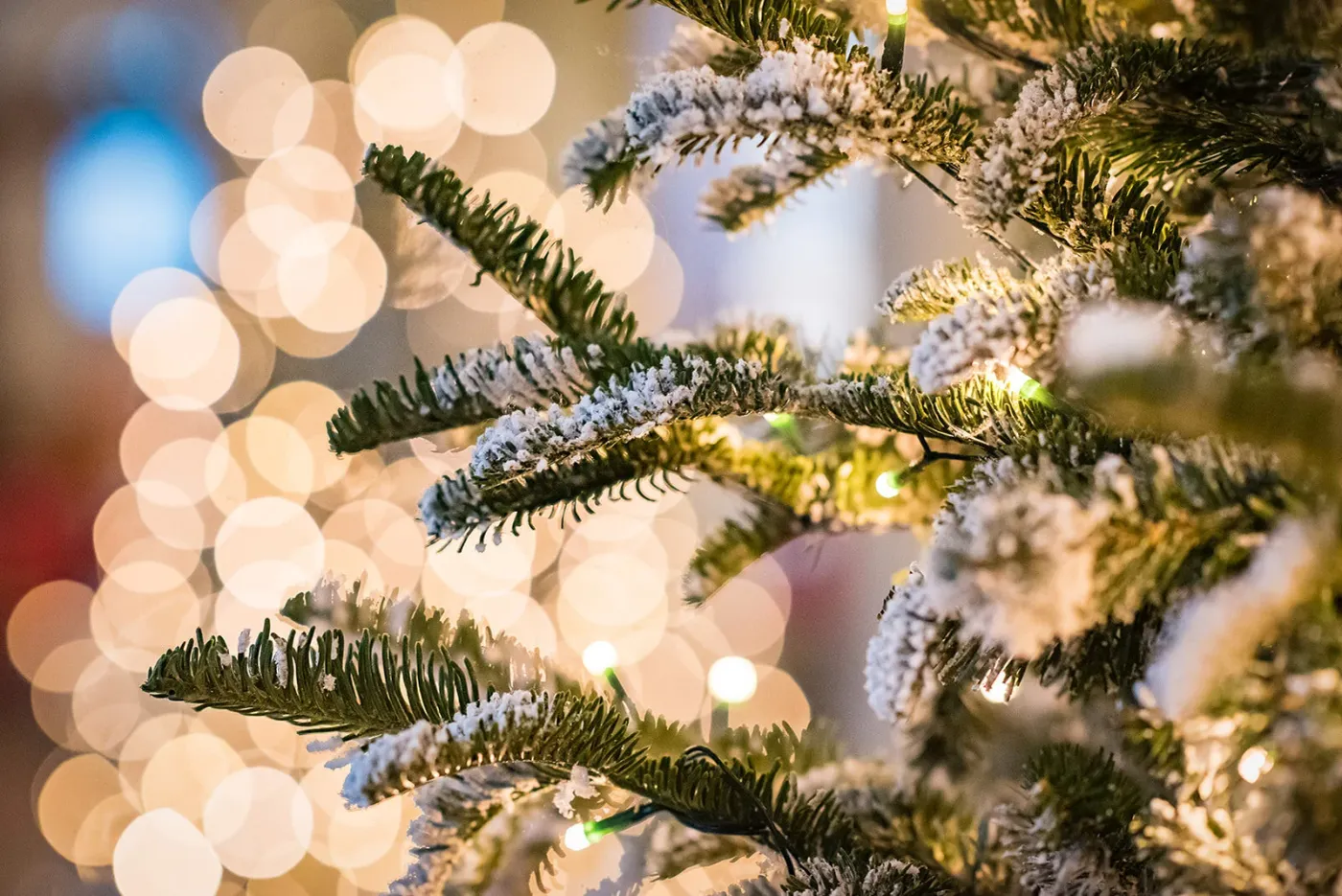 Inspiration for your Luxury Winter Wedding | Couture Events
