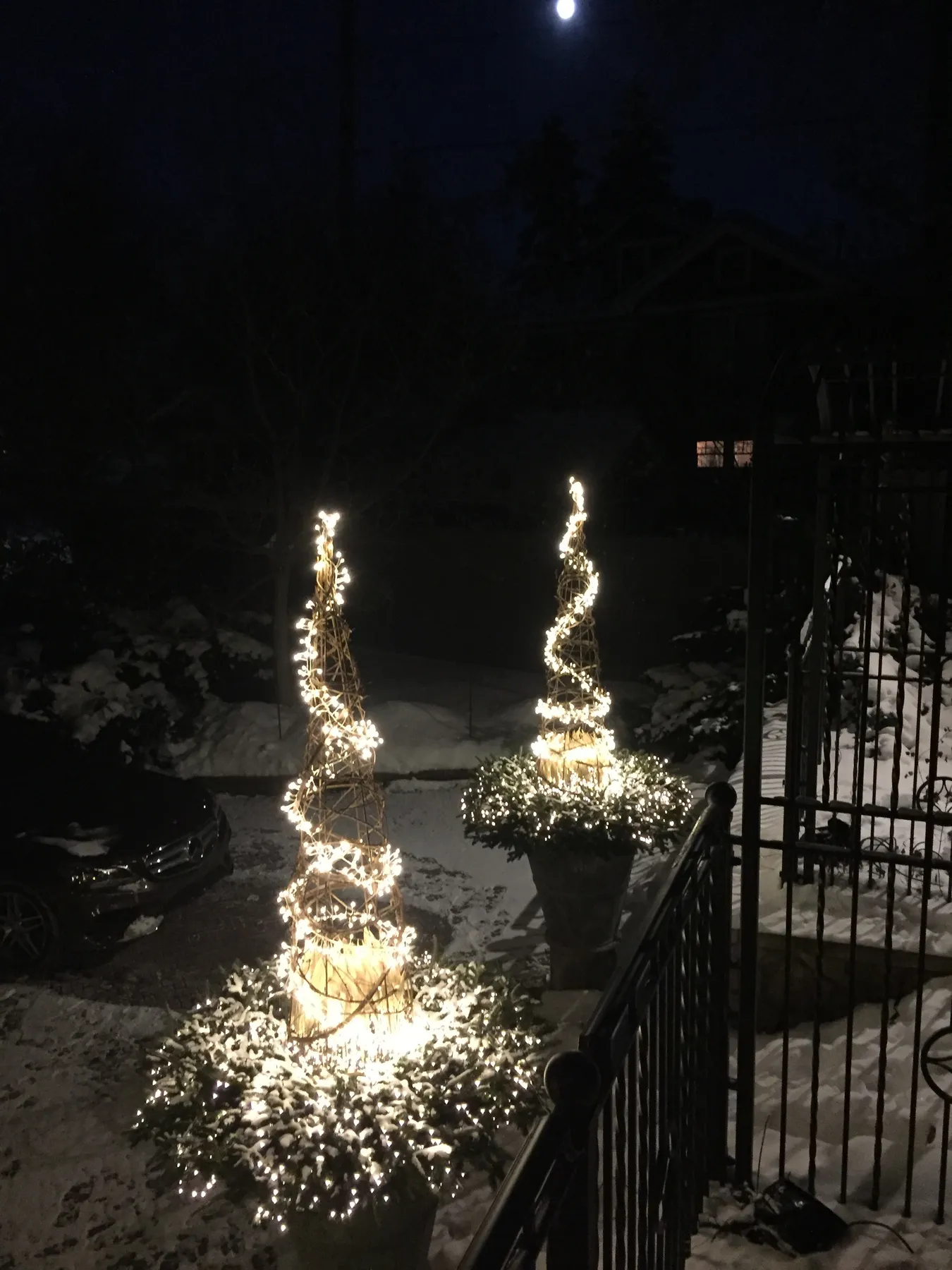 lighting winter containers | Deborah Silver & Co.