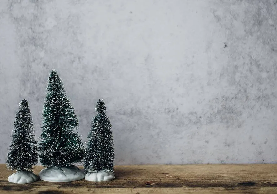 Magical Christmas in a small apartment | Spacesaver