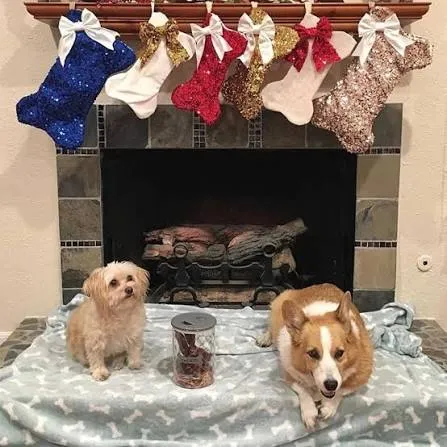 Mini Christmas Dog Stockings Customized Fabric & Bow Selection. Pet Stocking/Bone.  Pre-Black Friday Sale by Etsy | uFurnish.com