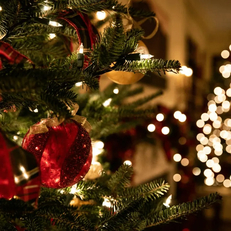 Mistletoe Market 2026