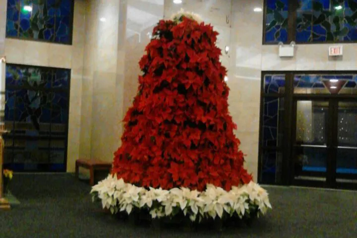 Mount Calvary Cemetery | Christmas Floral Display 2019