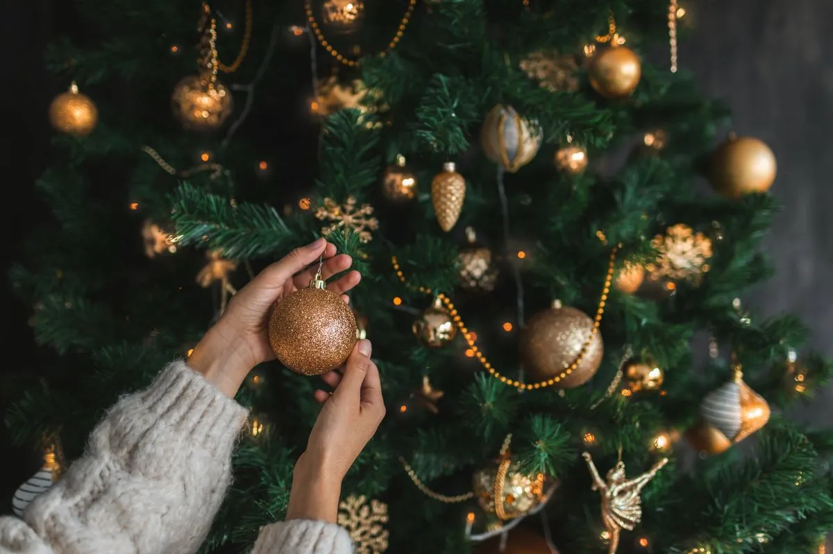 Never use vacuum cleaner on Christmas tree needles as 1 item works better -  The Mirror