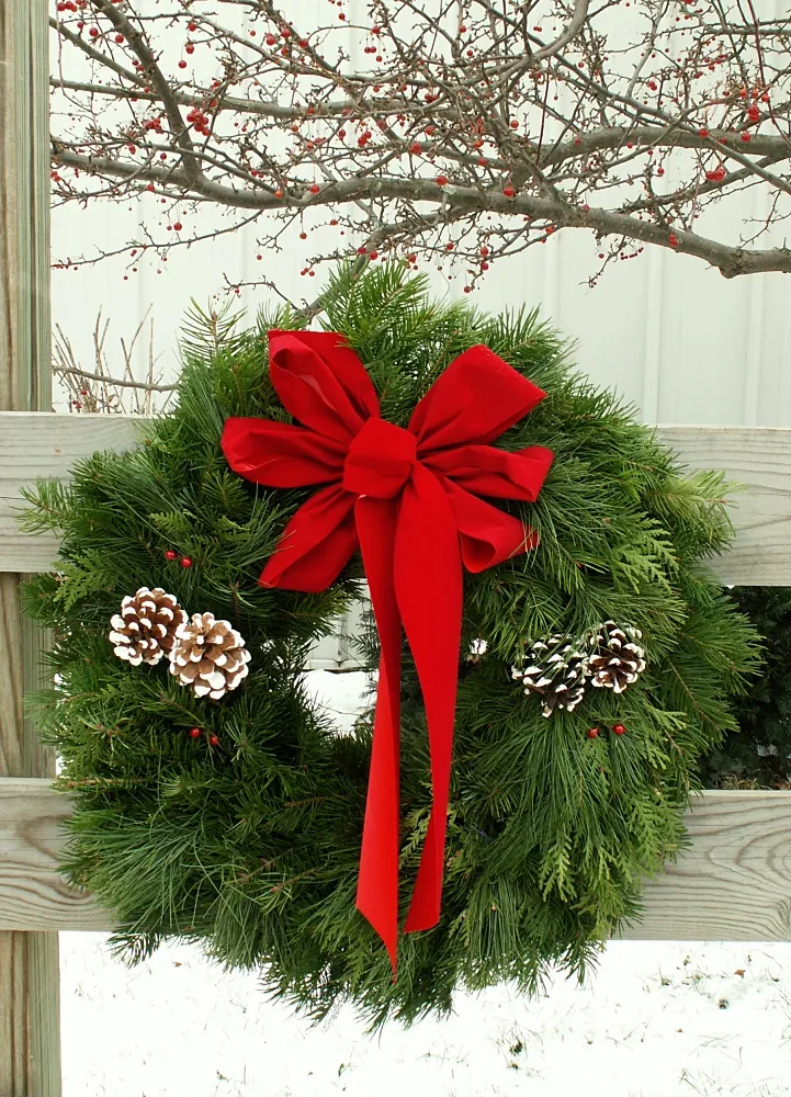 Outdoor Christmas Decorations - Pond and Garden Ideas