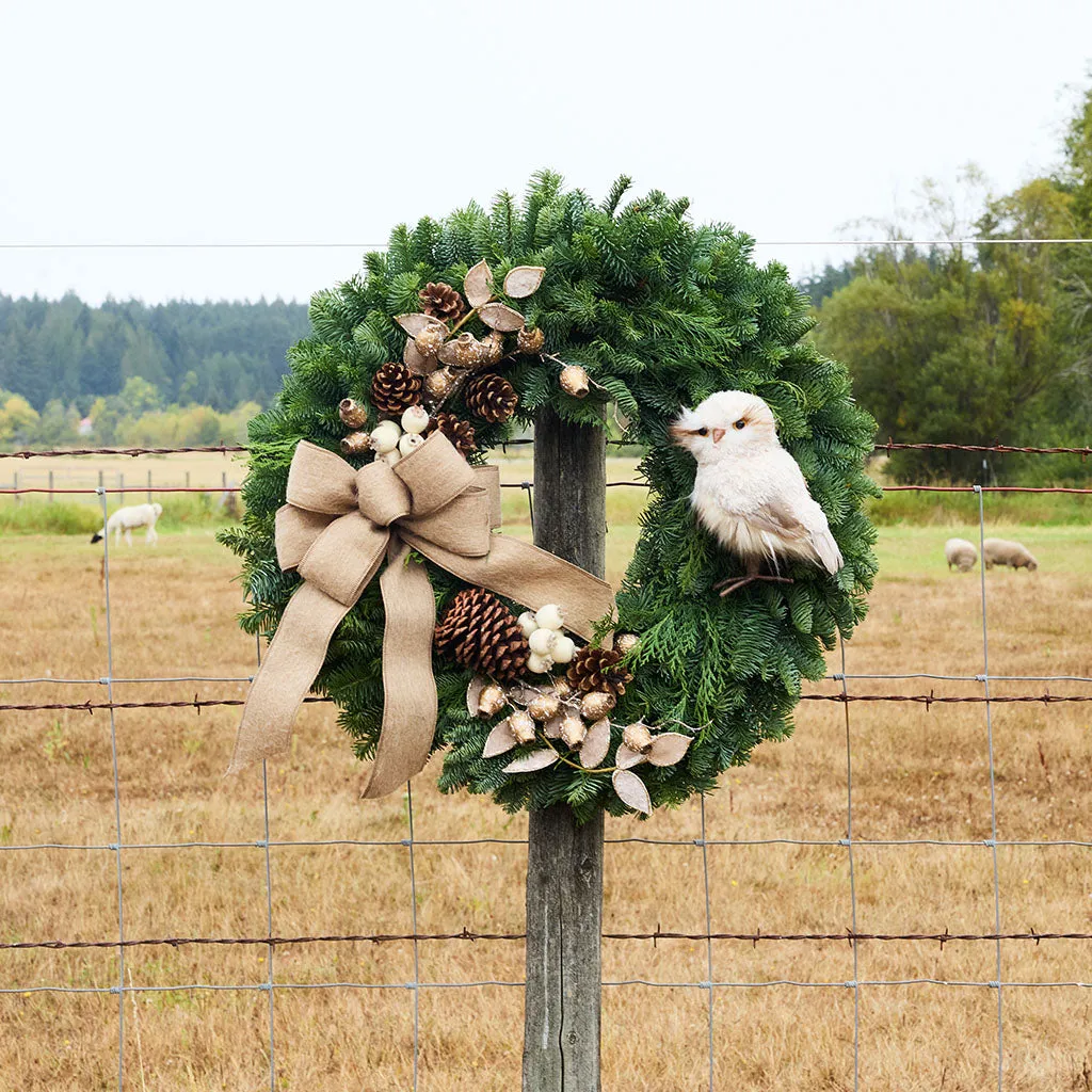 Owl's Whisper – Lynch Creek Farm