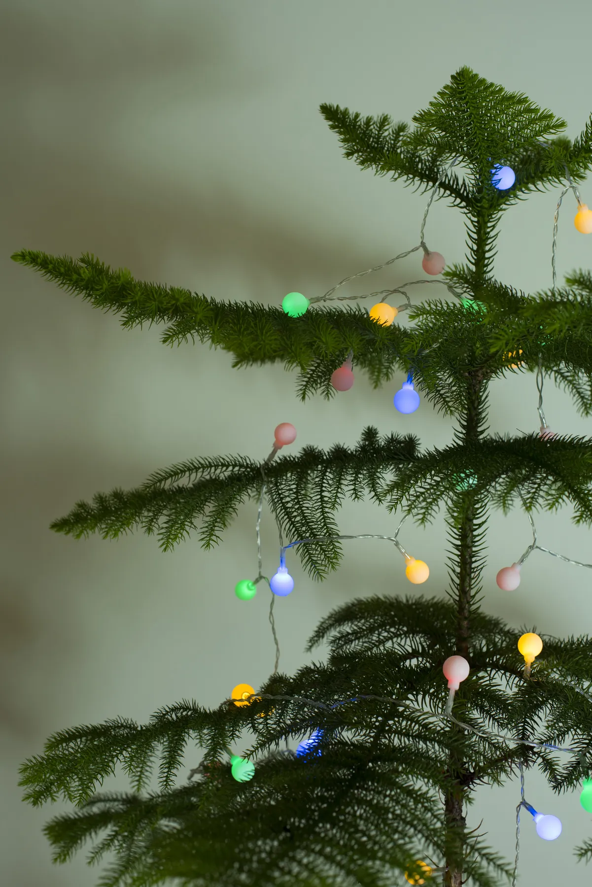 Photo of Colorful lights on a natural Christmas tree | Free christmas images