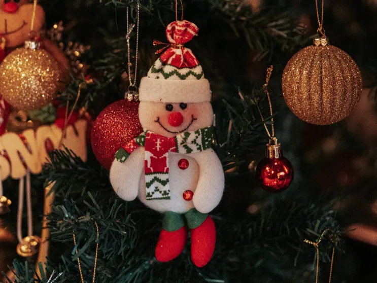 Pick the Perfect Christmas Tree for Every Memory