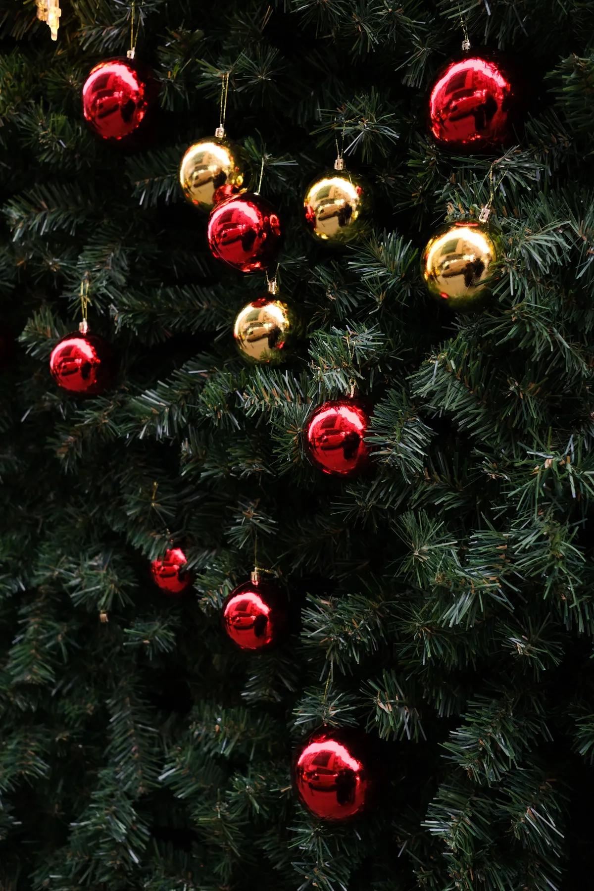 Red and gold ornaments on a lush Christmas tree, evoking holiday spirit.