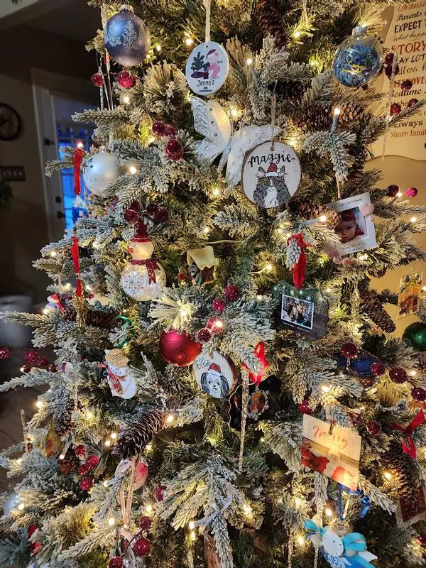 Reviews for Holiday Living TG76P4K61L02 Artificial Christmas Trees
