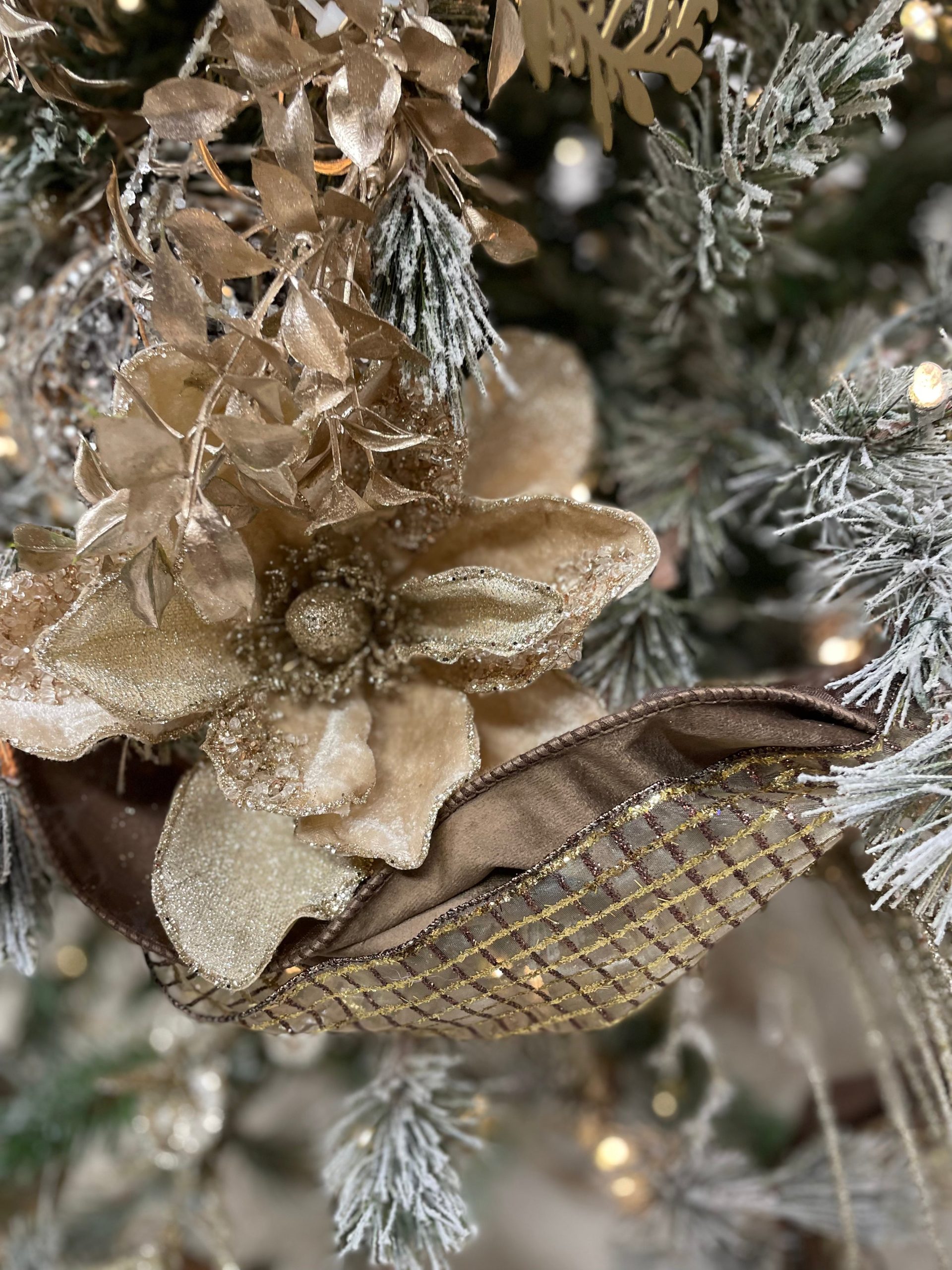Ribbon – Seasons