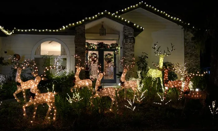 Sarasota holiday lights shine bright this season. See the photos