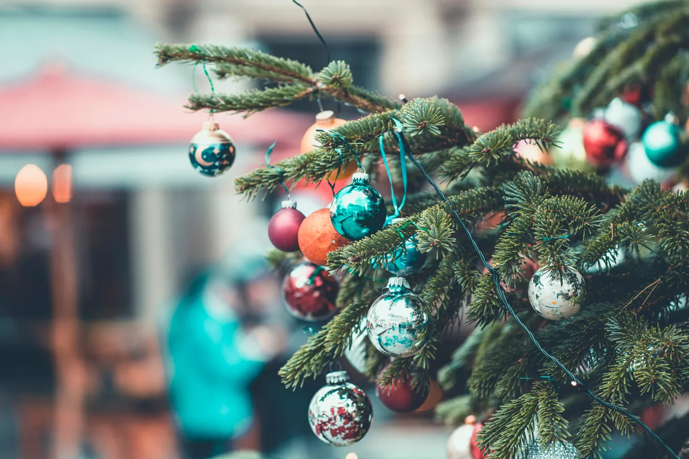 Shallow focus photography of green Christmas tree - Free Photo on Unsplash